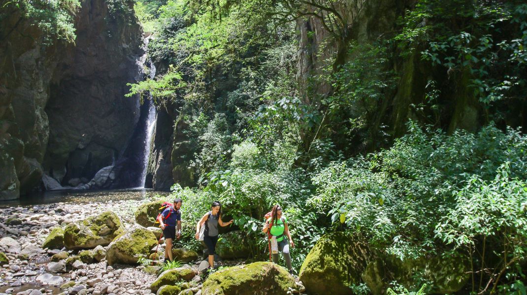 Imagen de galería 1